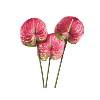 3 бр. 27Inch изкуствени антуриум цветя за дома декор булчински сватбена украса (розово)
