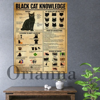 Black Cat Knowledge Poster / Black Cat Canvas Poster / Cat Wall Art / Gift Poster Lover Cat / Vintage Knowledge Print Home Decor